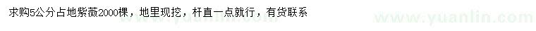 求購5公分紫薇