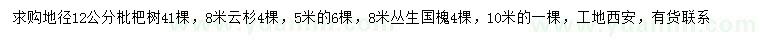 求購枇杷、云杉、叢生國槐