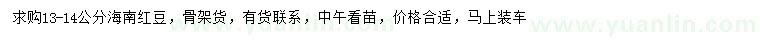 求購(gòu)13-14公分海南紅豆