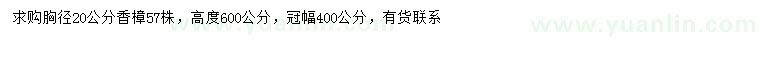 求購胸徑20公分香樟