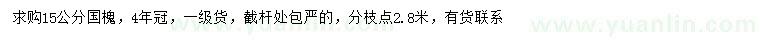 求購15公分國槐