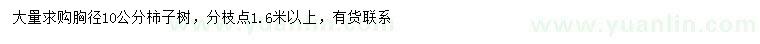 求購(gòu)胸徑10公分柿子樹(shù)