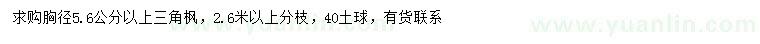 求購胸徑5.6公分以上三角楓