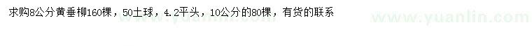 求購8、10公分黃垂柳