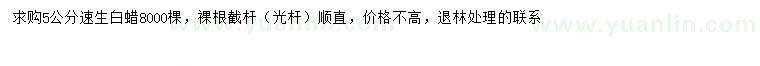 求購(gòu)5公分速生白蠟