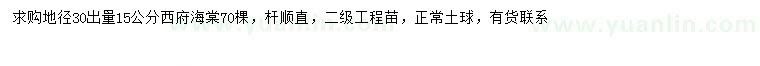 求購30量15公分西府海棠