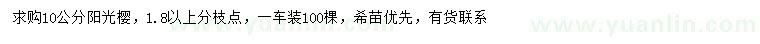 求購10公分陽光櫻