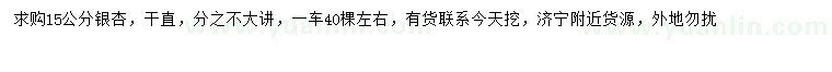 求購15公分銀杏