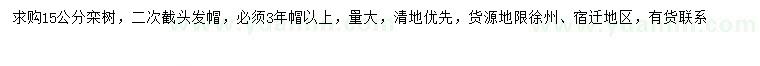 求購15公分欒樹