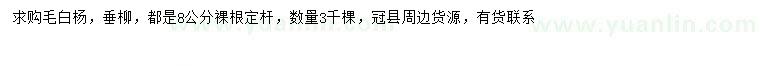 求購8公分毛白楊、垂柳