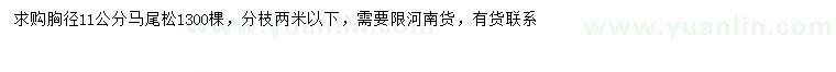 求購胸徑11公分馬尾松