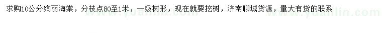 求購(gòu)10公分絢麗海棠