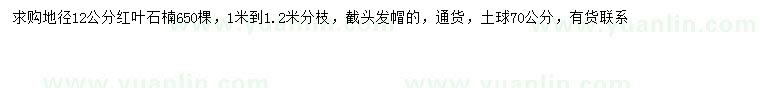 求購地徑12公分紅葉石楠