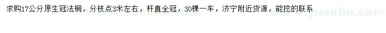 求購17公分法桐