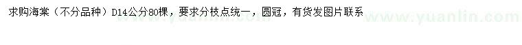 求購地徑14公分海棠