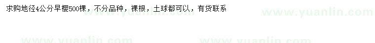 求購地徑4公分早櫻
