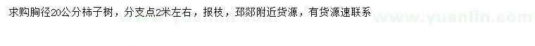 求購胸徑20公分柿子樹