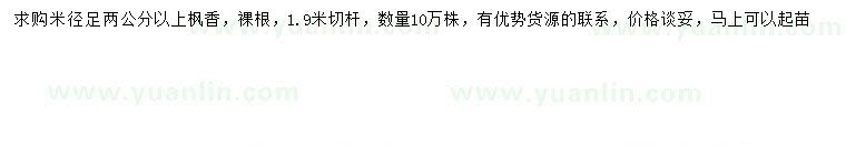 求購米徑2公分以上楓香