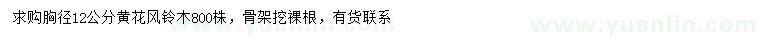 求購胸徑12公分黃花風(fēng)鈴木