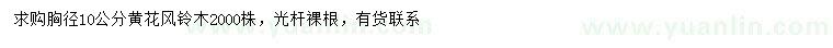 求購胸徑10公分黃花風(fēng)鈴木