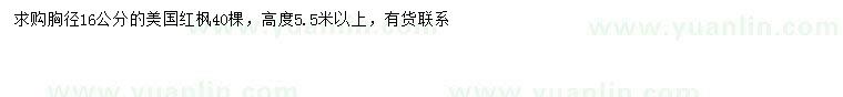 求購胸徑16公分美國紅楓