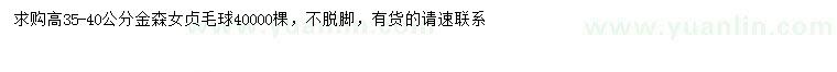 求購高35-40公分金森女貞球