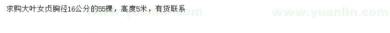 求購(gòu)胸徑16公分大葉女貞