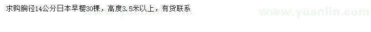 求購胸徑14公分日本早櫻