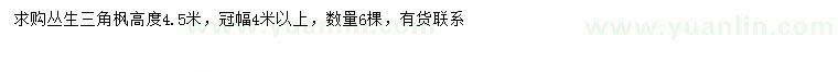 求購冠幅4米以上叢生三角楓