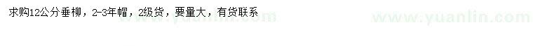 求購12公分垂柳