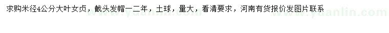 求購米徑4公分大葉女貞