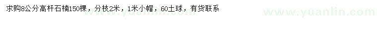 求購(gòu)8公分高桿石楠