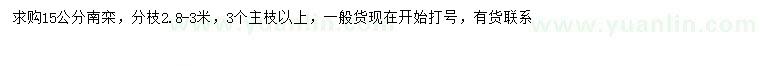 求購15公分南欒