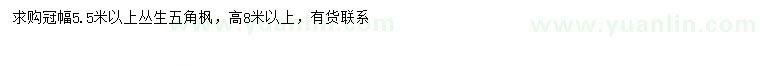 求購(gòu)冠幅5.5米以上叢生五角楓