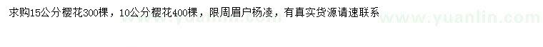 求購(gòu)10、15公分櫻花