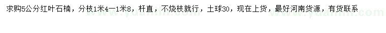 求購(gòu)5公分紅葉石楠