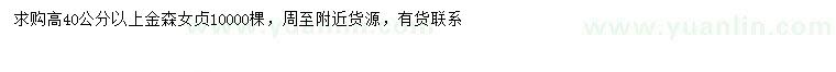 求購高40公分以上金森女貞