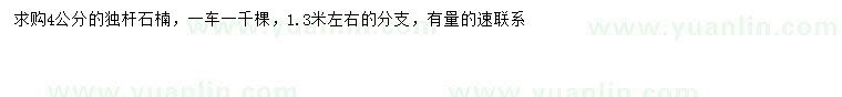 求購4公分石楠