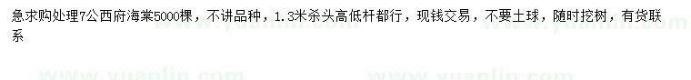 求購7公分西府海棠
