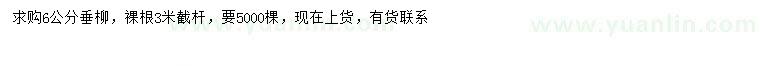 求購6公分垂柳