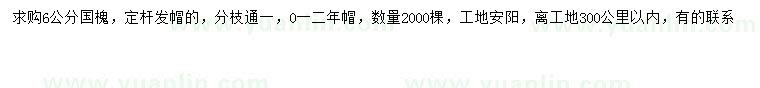 求購6公分國槐