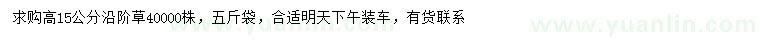求購(gòu)高15公分沿階草