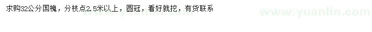 求購32公分國槐