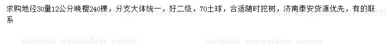 求購30量12公分晚櫻
