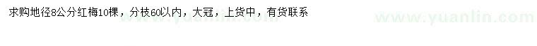 求購地徑8公分紅梅