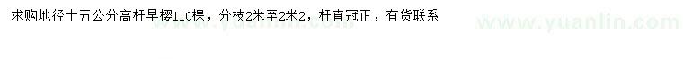 求購地徑15公分高桿早櫻
