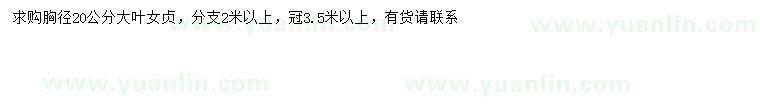 求購胸徑20公分大葉女貞
