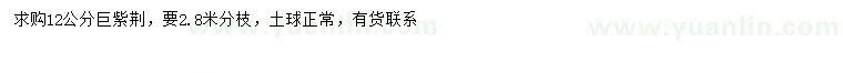 求購12公分巨紫荊