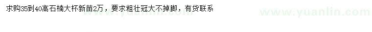 求購高35-40公分石楠