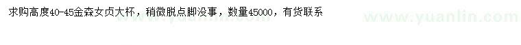 求購高40-45公分金森女貞
